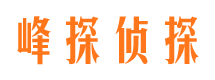 江东市侦探公司